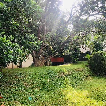 47 Alfred House - Free Pickup From Kandy City Exteriör bild