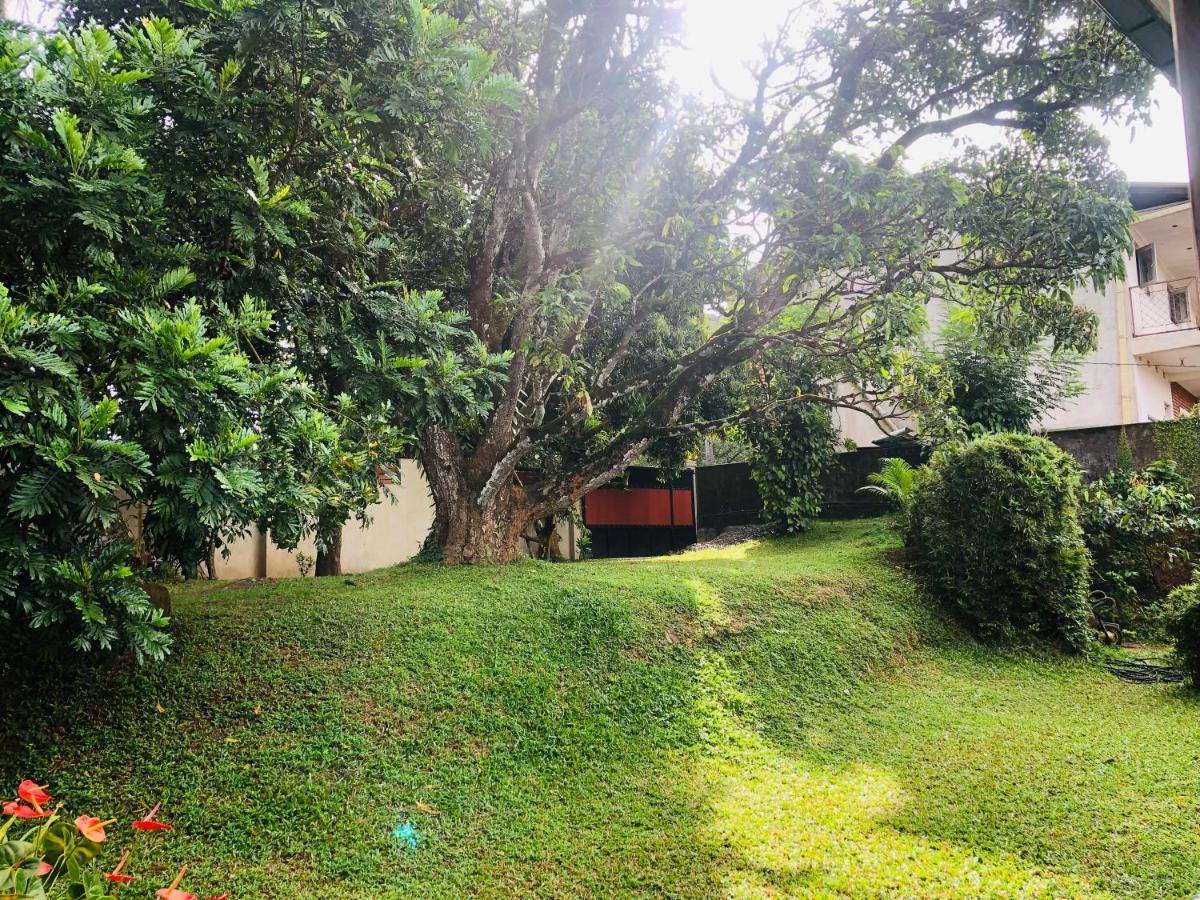 47 Alfred House - Free Pickup From Kandy City Exteriör bild