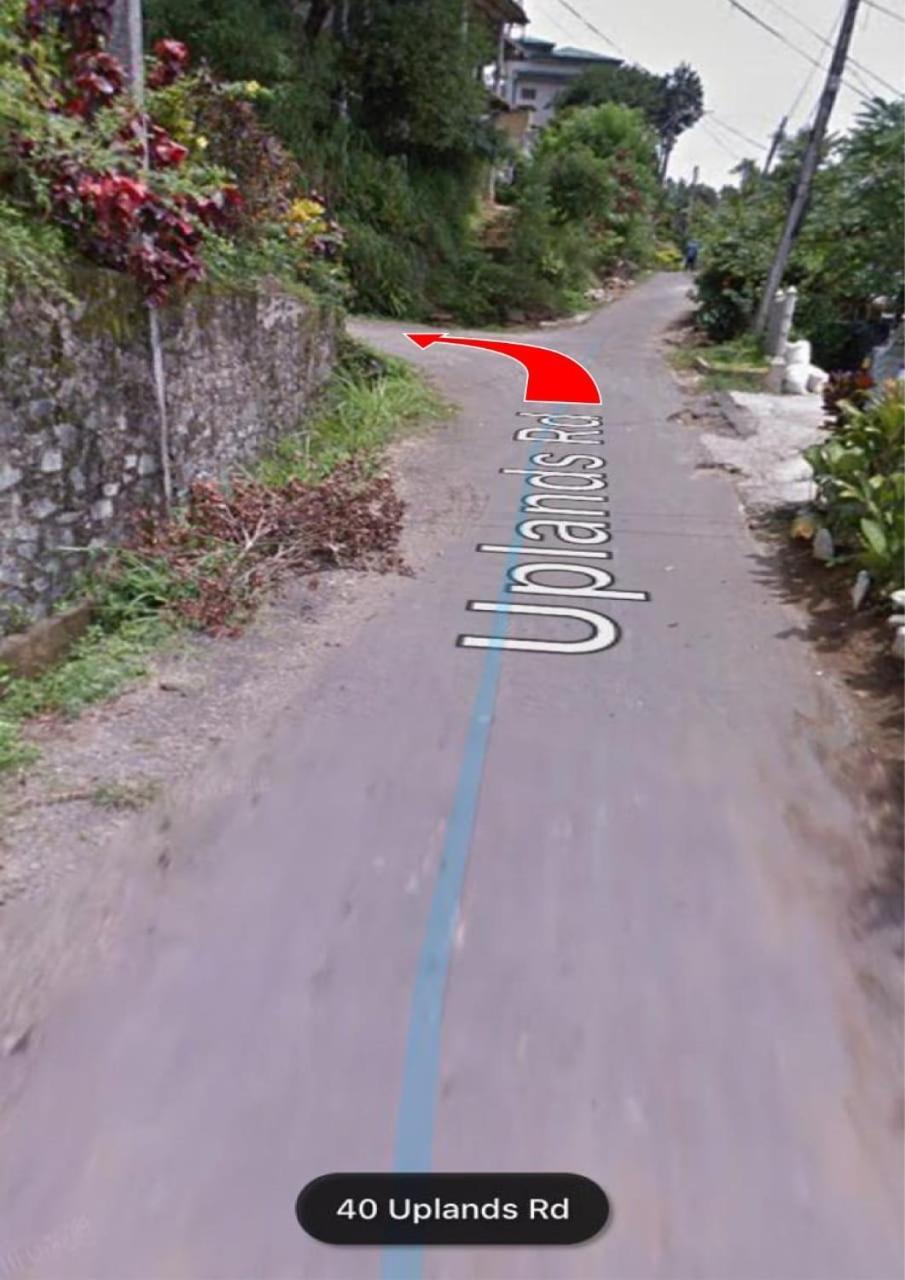 47 Alfred House - Free Pickup From Kandy City Exteriör bild